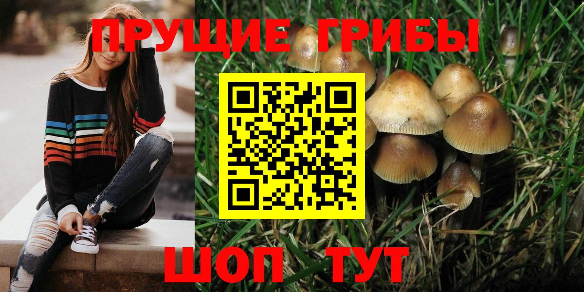 Галлюциногенные грибы Cubensis Югорск